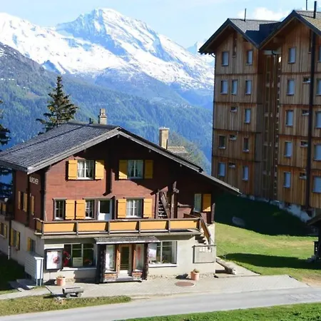 Lägenhet Burcher Haus 1- Og S-o Riederalp